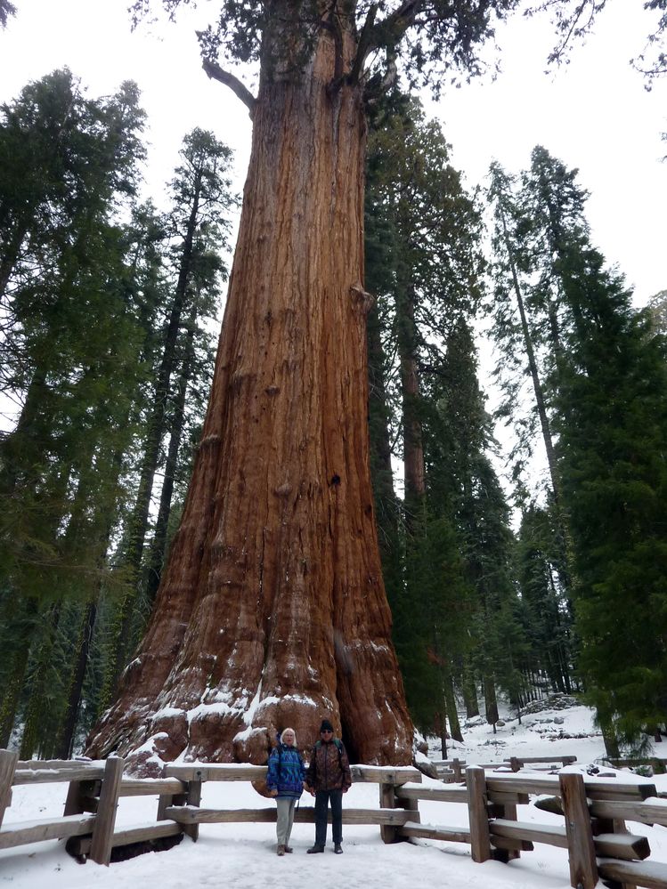 Sequoia parc(40).JPG